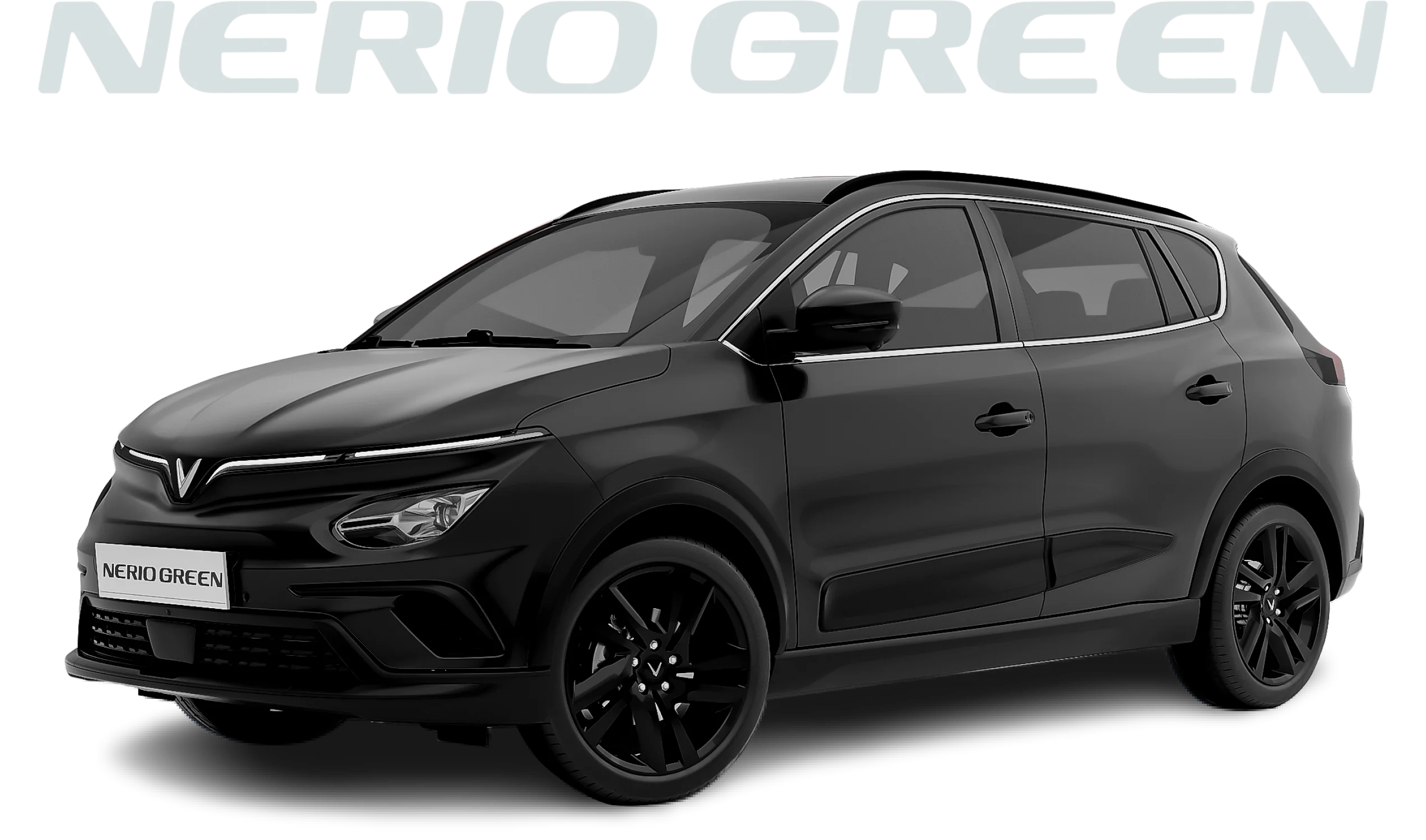 Nerio Green